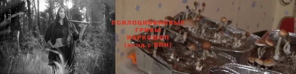 метадон Беломорск
