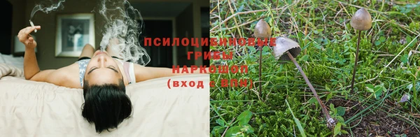 СК Богородск