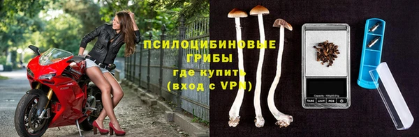 метадон Белокуриха