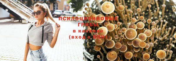 марки nbome Белоозёрский