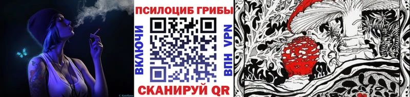 мега ССЫЛКА  Губкинский  Галлюциногенные грибы Psilocybe 